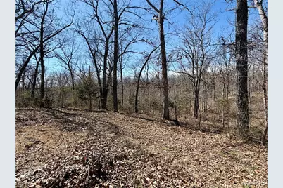 719 White Dogwood Court, Saint Clair, MO 63077 - Photo 59