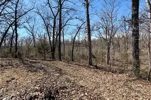 719 White Dogwood Ct, Saint Clair, MO 63077 - Photo 59