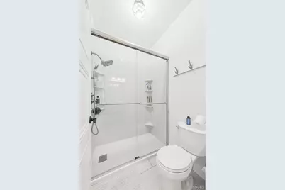 5223 Botanical Avenue, Saint Louis, MO 63110 - Photo 31