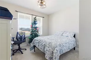 2 Spinney Bough Ct, Wentzville, MO 63385 - Photo 29