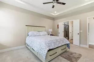 2 Spinney Bough Ct, Wentzville, MO 63385 - Photo 21