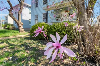 6254 Goener Avenue, Saint Louis, MO 63116 - Photo 35