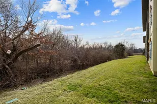 223 Bordeaux Way, Saint Peters, MO 63376 - Photo 31