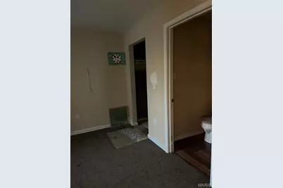 214 Cross Street, Bonne Terre, MO 63628 - Photo 19