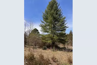 2172 Lake Park Trail, De Soto, MO 63020 - Photo 9