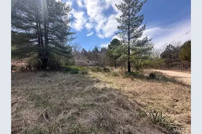 2172 Lake Park Trail, De Soto, MO 63020 - Photo 3