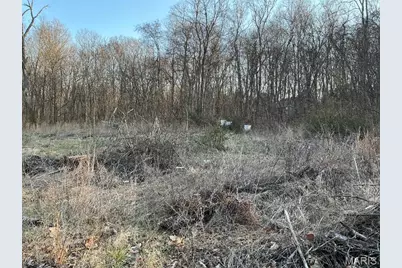 10801 Blackberry, Cadet, MO 63630 - Photo 3