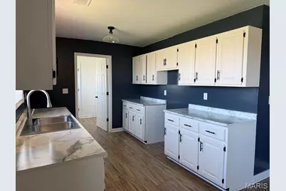 11783 County Road 491, Dudley, MO 63936 - Photo 3