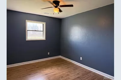 11783 County Road 491, Dudley, MO 63936 - Photo 7