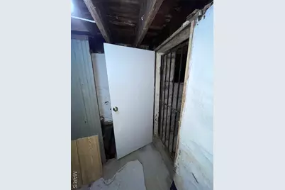 3425 Alberta, Saint Louis, MO 63118 - Photo 11