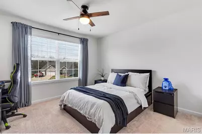 320 Race Horse Lane, Wentzville, MO 63385 - Photo 19