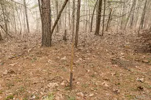 9075 32 Hwy, Saint Genevieve, MO 63670 - Photo 21