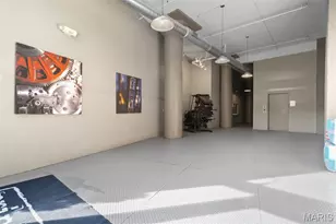 1627 Locust St, Saint Louis, MO 63103 - Photo 47