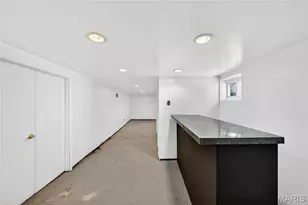 327 W Felton Ave, Saint Louis, MO 63125 - Photo 21