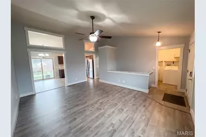 119 Albany Manor Drive, Wentzville, MO 63385 - Photo 3