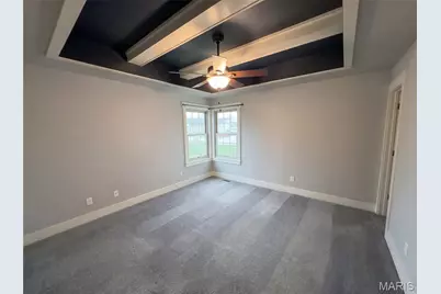 119 Albany Manor Drive, Wentzville, MO 63385 - Photo 17