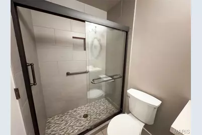 119 Albany Manor Drive, Wentzville, MO 63385 - Photo 19