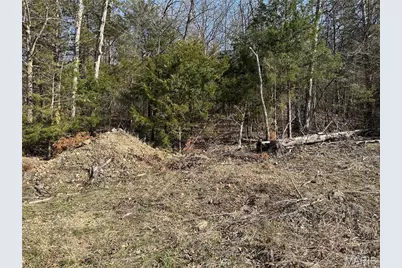 0 Lake Shore Drive, Robertsville, MO 65066 - Photo 3