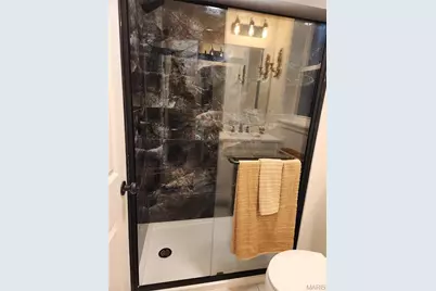 3169 Pennsylvania Avenue, Saint Louis, MO 63118 - Photo 21