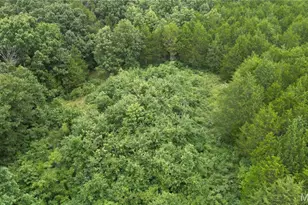 6135 Tall Cedars Rd, Hillsboro, MO 63050 - Photo 1