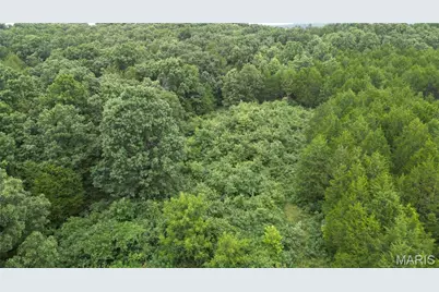 6135 Tall Cedars Road, Hillsboro, MO 63050 - Photo 3