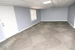 1568 Rue Riviera, Bonne Terre, MO 63628 - Photo 19