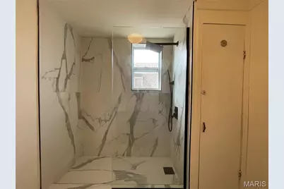 7349 Elm Avenue, Saint Louis, MO 63143 - Photo 39