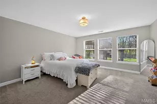 220 Andrea Lynne Dr Dr, Wentzville, MO 63385 - Photo 33