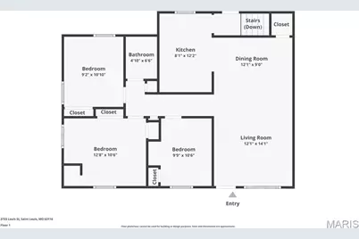 3733 Louis Street, Saint Louis, MO 63116 - Photo 29