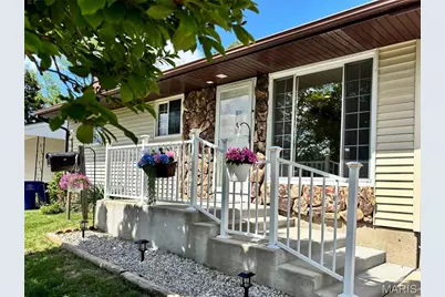3733 Louis Street, Saint Louis, MO 63116 - Photo 1