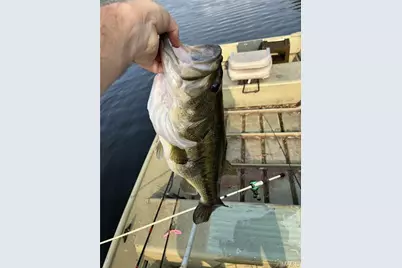 14729 Southlake Drive, De Soto, MO 63020 - Photo 73