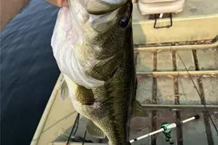 14729 Southlake Dr, De Soto, MO 63020 - Photo 73