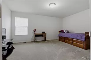 102 Carlton Point Dr, Wentzville, MO 63385 - Photo 23