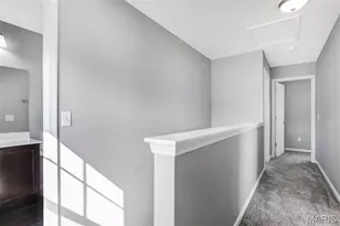 111 Downing St, House Springs, MO 63051 - Photo 23