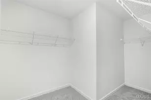 16008 Cinderella Ct, Ellisville, MO 63021 - Photo 21