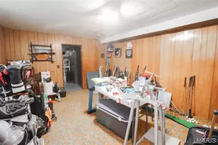 21195 Hwy 28, Dixon, MO 65459 - Photo 17