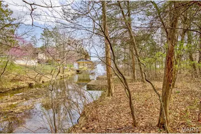 0 N Lafitte Drive, Bonne Terre, MO 63628 - Photo 7