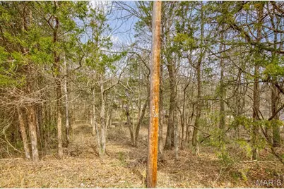 0 N Lafitte Drive, Bonne Terre, MO 63628 - Photo 3