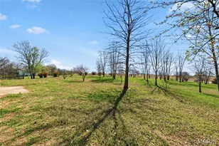 329 Lakeview Rd, Old Monroe, MO 63369 - Photo 33