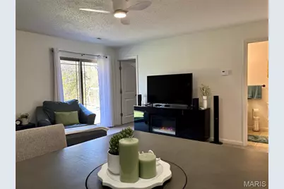 130 Chalet Lane, Bonne Terre, MO 63628 - Photo 19