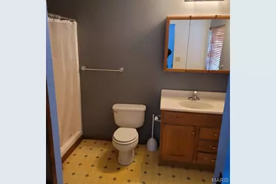3980 Wilkinson Road, De Soto, MO 63020 - Photo 9