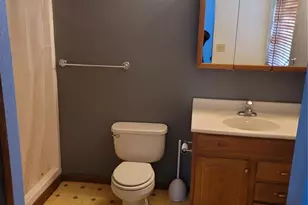 3980 Wilkinson Rd, De Soto, MO 63020 - Photo 9