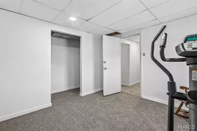 466 Rue Martel, Bonne Terre, MO 63628 - Photo 33