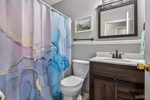 466 Rue Martel, Bonne Terre, MO 63628 - Photo 19