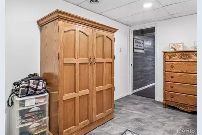 466 Rue Martel, Bonne Terre, MO 63628 - Photo 31