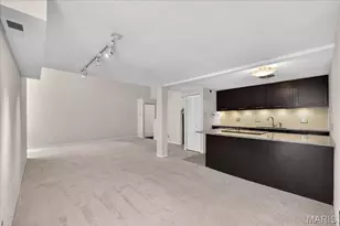 1523 S 10th St, Saint Louis, MO 63104 - Photo 13