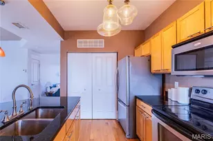 541 Rosedale Ave, Saint Louis, MO 63112 - Photo 29