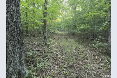 0 Dusty Road, Cadet, MO 63630 - Photo 1