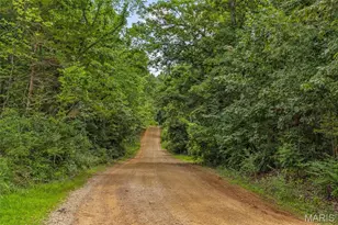 9793 Grove Dr, Bonne Terre, MO 63628 - Photo 21