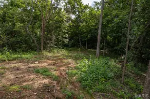 9793 Grove Dr, Bonne Terre, MO 63628 - Photo 17